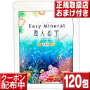 サンゴ浄水剤イージーミネラル海人ぬ宝120包 送料無料 海外旅行 便利グッズ 携帯浄水剤 サンゴ水 ミネラルウォーター ウォーターサーバー ミネラル サプリ サンゴぱっく さんごパック アルカリイオン水