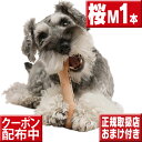 今ならオマケ付 愛犬のストレス発散に chew for more trees Mサイズ桜の木 犬 おもちゃ 木 犬の歯固め チュウ・フォー・モア・トゥリーズ 犬のおもちゃ ボーン 犬 しつけ 仔犬 甘噛み 犬 おも…