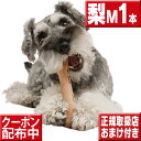 今ならオマケ付 愛犬のストレス発散に chew for more trees　Mサイズ梨の木 犬 おもちゃ 木 犬の歯固め チュウ・フォー・モア・トゥリーズ 犬のおもちゃ ボーン 犬 しつけ 仔犬 甘噛み 犬 おもちゃ ボーン