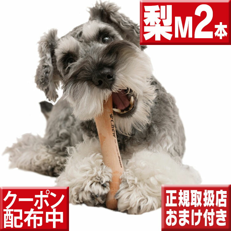 送料無料2本セット 今ならオマケ付 chew for more trees　Mサイズ梨の木2本 犬 おもちゃ 木 犬の歯固め チュウ・フォー・モア・トゥリーズ 犬のおもちゃ ボーン 犬 しつけ 仔犬 甘噛み 犬 おもちゃ ボーン