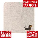 犬友 猫友のプレゼントに ハンカチ タオルハンカチ 犬 好き 猫 好き プレゼント わん友 にゃん友 プレゼント かわいい 雑貨 犬 猫 プチギフト ワン友 ニャン友 贈り物