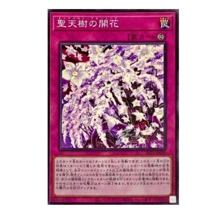 ͷ���� ��ŷ���γ��� � SLT1-JP039 �Ρ��ޥ� ����š�