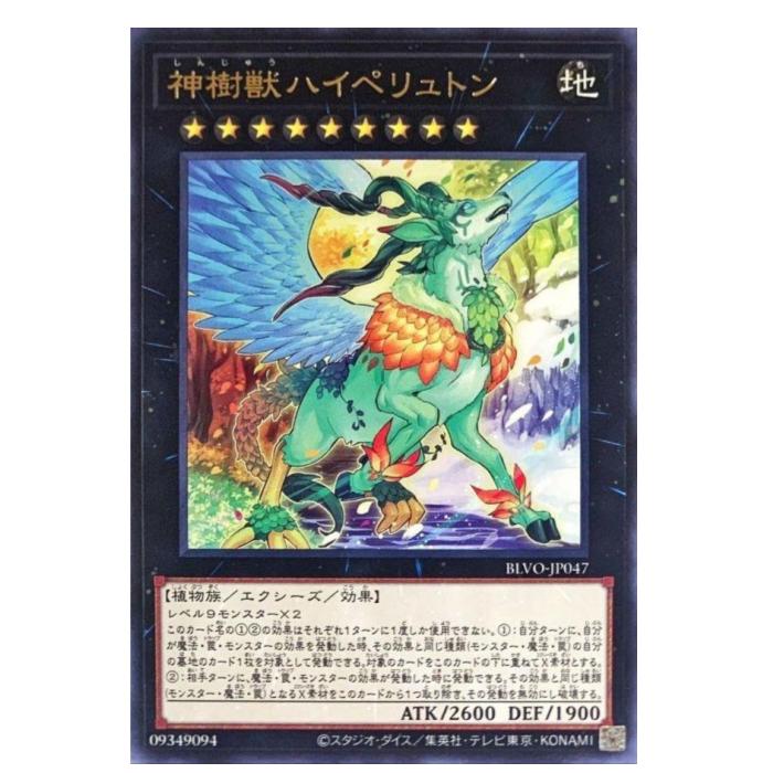 ͷ���� �����åϥ��ڥ��ȥ� ���������� BLVO-JP047 �쥢 ����š�