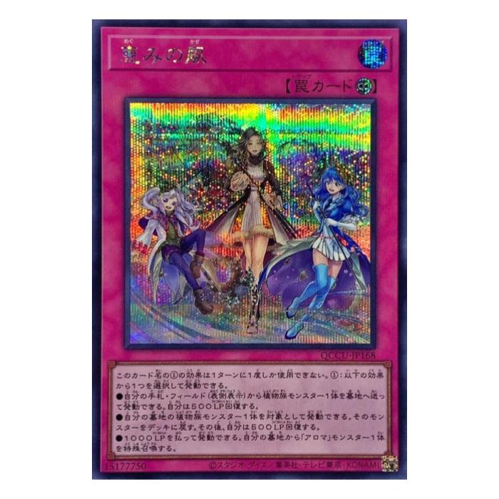 樂天商城 - 遊戯王 恵みの風 罠 QCCU-JP168 シークレットレア 【中古】