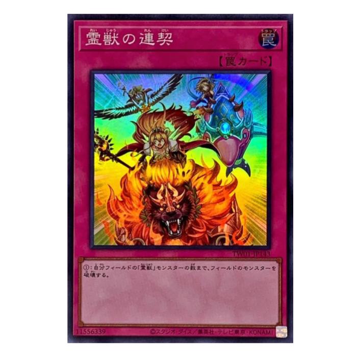 ͷ���� ��ä�Ϣ�� � TW01-JP143 �����ѡ��쥢 ����š�