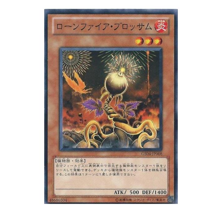 ͷ���� ������ե��������֥��å��� ���� GS04-JP008 ������ɥ쥢 ����š�