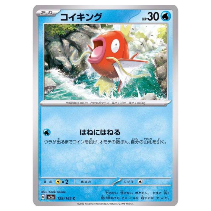 �ݥ���󥫡��ɥ����� �������� SV2a ������ĥ�ѥå� �ݥ���󥫡���151 129/165 C ����š�