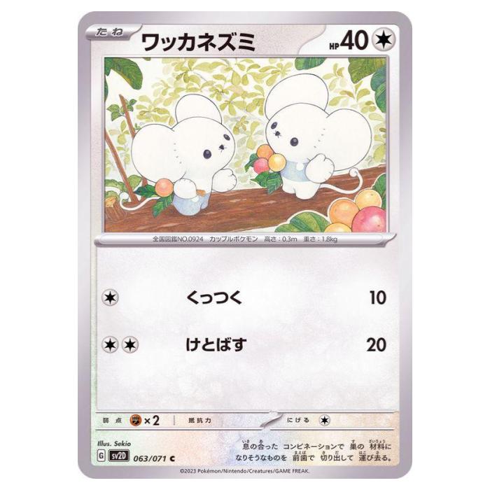 �ݥ���󥫡��ɥ����� ��å��ͥ��� SV2D ��ĥ�ѥå� ���쥤�С����� 063/071 C ����š�