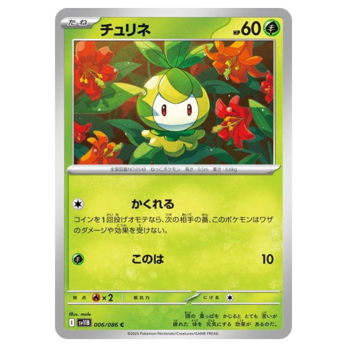 �ݥ���󥫡��ɥ����� ������ SV11B ��ĥ�ѥå� �֥�å��ܥ�� 006/086 C ����š�