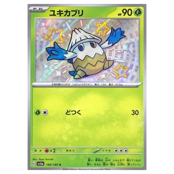 �ݥ���󥫡��ɥ����� �業���֥� SV4a �ϥ����饹�ѥå� ���㥤�ˡ��ȥ쥸�㡼ex 199/190 S ����š�