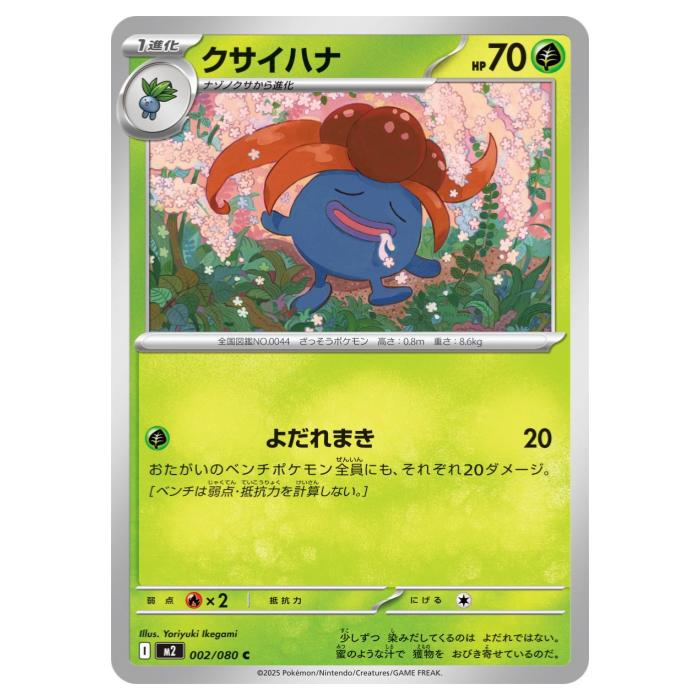 iimo 桼Ź㤨֥ݥ󥫡ɥ ϥ M2 ĥѥå եX 002/080 C šۡפβǤʤ30ߤˤʤޤ