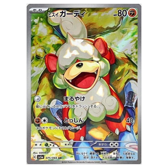 �ݥ���󥫡��ɥ����� �ҥ��������ǥ� SV5a ��ĥ�ѥå� ����ॾ��إ��� 075/066 AR ����š�