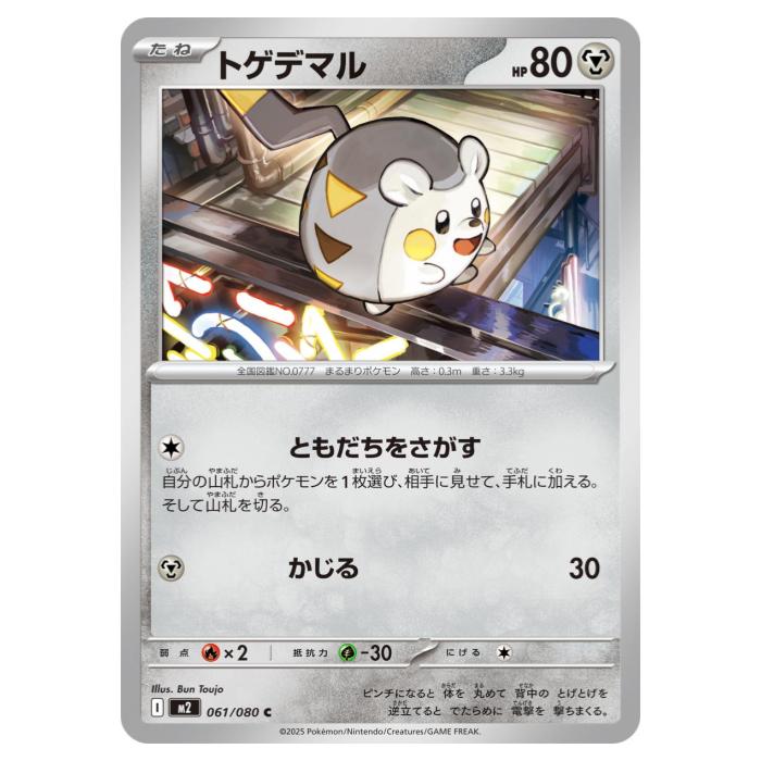 �ݥ���󥫡��ɥ����� �ȥ��ǥޥ� M2 ��ĥ�ѥå� ����ե����X 061/080 C ����š�