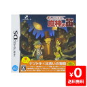 DS ニンテンドーDS レイトン教授と魔神の笛 特典無し ソフト ケースあり Nintendo 任天堂 ニンテンドー 4571237660115 【中古】