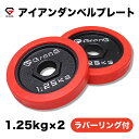 GronG(グロング) アイアンダンベル プレート 追加 セット バーベル 1.25kg×2 計2.5kg ラバー付き シャフト径28mm