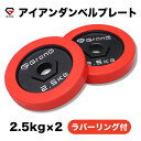 GronG(グロング) アイアンダンベル プレート 追加 セット バーベル 2.5kg×2 計5kg ラバー付き シャフト径28mm