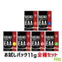 GronG COMPLETE EAA 必須アミノ酸 トライアルパック 11g 全6種セット グロング