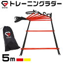 GronG トレーニングラダー スピードラダー アジリティラ...