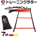 GronG トレーニングラダー スポーツラダー アジリティラ...