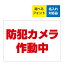 〔屋外用 看板〕 防犯カメラ作動中 名入れ無料 長期利用可能