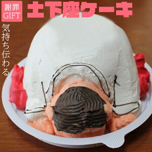 遅れてごめんね のギフトにも使える　土下座 ケーキ 4〜5号 ギフト お母さん お父さん 誕生日ケーキ 大人 子供 面白い おもしろ お菓子 バースデーケーキ 3D 立体ケーキ 記念日ケーキ サプライズ (gift)