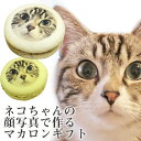 あなたの愛猫 写真で作る にゃん顔マカロン 5個入 フェイスマカロン [ねこ ネコ ペット ギフト プレゼント 贈り物 記念日 誕生日 プチギフト お菓子 面白...