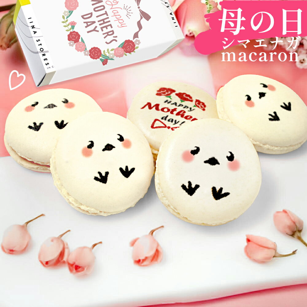 Macaron - 母の日 ギフト 洋菓子 シマエナガ マカロン 5個入 お菓子 塩キャラメル イラスト 花とお菓子 カーネーション 2026 食べ物 おもしろ