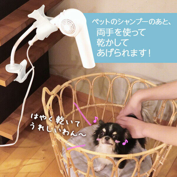 �ɥ饤�䡼������� �ɥ饤�䡼����å�F �ۥ磻�� DCLF-6047 �� �ɥ饤�䡼�ۥ���� �ɥ饤�䡼 ���� Ω�Ƥ� ξ�꤬�Ȥ��� �ȥ�ߥ� �ڥå� 50�� ��