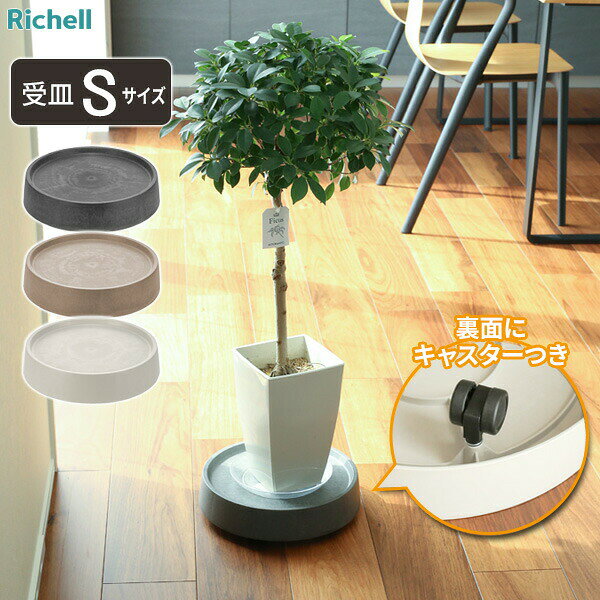 環境に優しい素材！石油由来樹脂を削減して地球にやさしい、室内用のキャスターつき受皿。新素材原料の約60％が石灰石で、材料調達から製造までの二酸化炭素排出量を削減。プラスチックの代わりになる新素材で、石灰石が主原料なので、重量感もあります。便利なキャスターキャスター5個つき。360°回転するキャスターなので、植物を載せたまま自由に移動できます。鉢ごと移動できる耐荷重が約20kgあるので、大きめの植栽もラクラク移動できる。室内の日当たりの良いところへ、少しづつ移動することも可能。組み合わせて使うラピス ポットカバー7・8と組み合わせて使用できます。　※この商品とは別売りです。カバーは付属しておりません。選べるカラー：ダークグレー / ベージュ / ホワイト※商品詳細を全て選択すると「商品仕様」が表示されます関連キーワード： 日本製 国産 付き 石調 観葉植物 ポット 置台 置き台 載せたまま 丸型 円形 車輪付き コロ付き リビング ベランダ 窓際 植栽 回転 高級感 高見え インテリア お洒落 おすすめ キャスターが見えない キャスターが隠れる 掃除 簡単 フローリング 戸建 マンション 植物のある暮らし グリーンのある暮らし 花台 受け皿 直径 24 cm センチ 安定感 小サイズ 小型 鉢植え シェフレラ ドラセナ ユーカリ オリーブ フィカス カポック サンスベリア