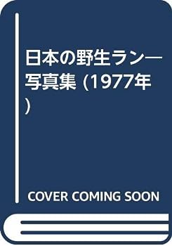 【中古】日本の野生ラン—写真集 (1977年)