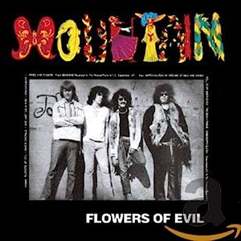 【中古】［CD］Flowers Of Evil