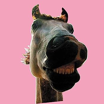 【中古】［CD］Do!!The★MUSTANG (通常盤) (特典なし)
