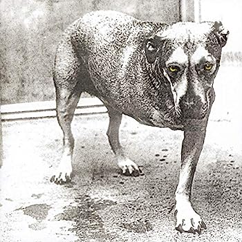 ［CD］Alice in Chains