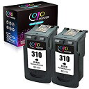 【中古】「Colohunter」キャノン(Canon) BC-310 310 XL 染料 ブラック*2個セット大容量 残量表示付 再生インク「対応機種」PIXUS - (MP493, MP490, MP48