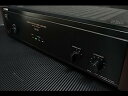 【中古】(非常に良い)SONY TA-N110 ステレオパワーアンプ