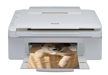 šEPSON Colorio 󥯥åʣ絡 PX-403A