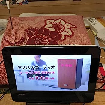 【中古】TOSHIBA REGZA 防水対応ポータブルDVD SD-P100WP