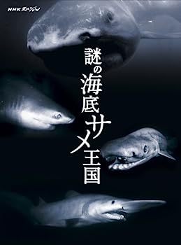 【中古】（非常に良い）NHKスペシャル 謎の海底サメ王国 [DVD]