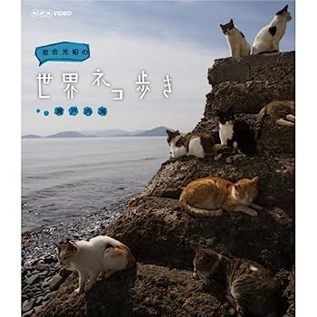 š۴ͥ⤭ ⳤ ֥롼쥤