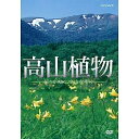 【中古】高山植物 〜花々が咲く名山を歩く〜