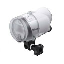 【中古】Nikon 水中スピードライト SB-N10 SBN10