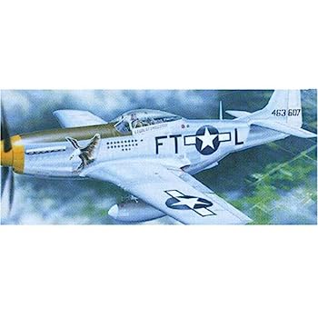 yÁziɗǂjgyb^[ 1/24 m[XAJ P-51D }X^OIV vf