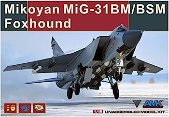 yÁzAoMhf 1/48 \AR MiG-31BM/BSM tHbNXnEh vf AGM88003