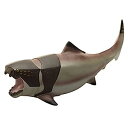 【中古】(非常に良い)ダンクレオステウス ビニールモデル(FP-304)(3)