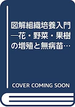 楽天IINEX【中古】図解組織培養入門—花・野菜・果樹の増殖と無病苗育成