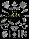【中古】驚異の珪藻世界 The Amazing World of Diatoms