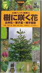 【中古】樹に咲く花—合弁花・単子葉・裸子植物 (山渓ハンディ図鑑)