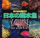 【中古】日本の海水魚 (山渓カラー名鑑)