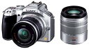 【中古】(非常に良い)パナソニック ミラーレス一眼カメラ ルミックス G5 ダブルズームレンズキット 標準ズームレンズ/望遠ズームレンズ付属 ソリッドシルバー ...