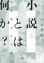 【中古】小説とは何か 芥川龍之介を読む (ひつじ研究叢書(文学編)10)